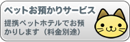 ybgaT[rXiʓrj